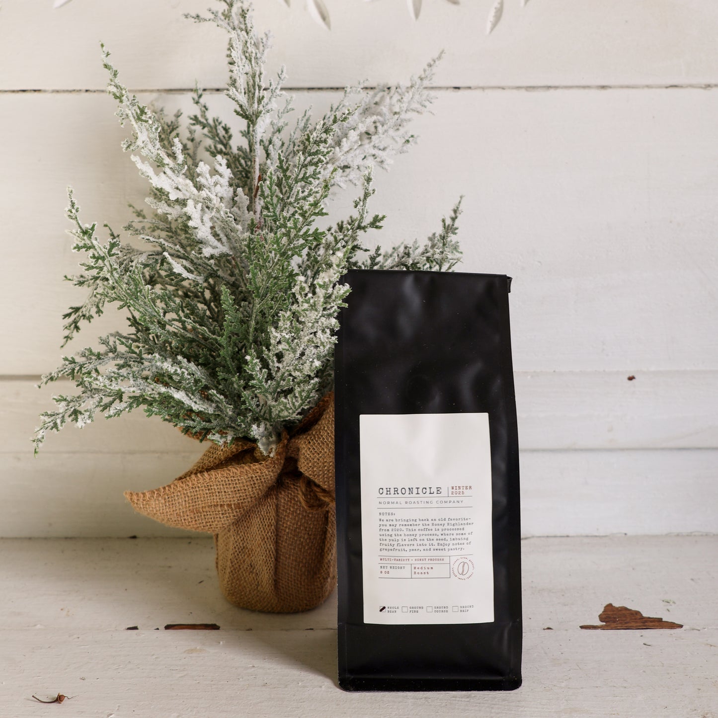 Chronicle - 2025 Winter Feature