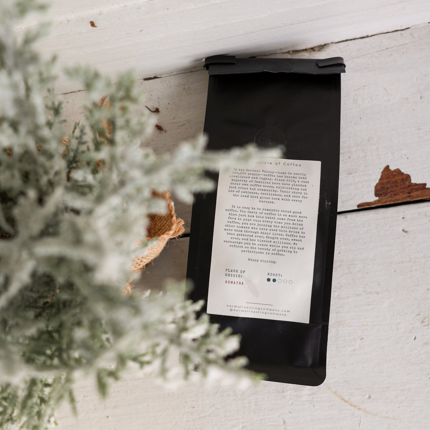 Chronicle - 2025 Winter Feature