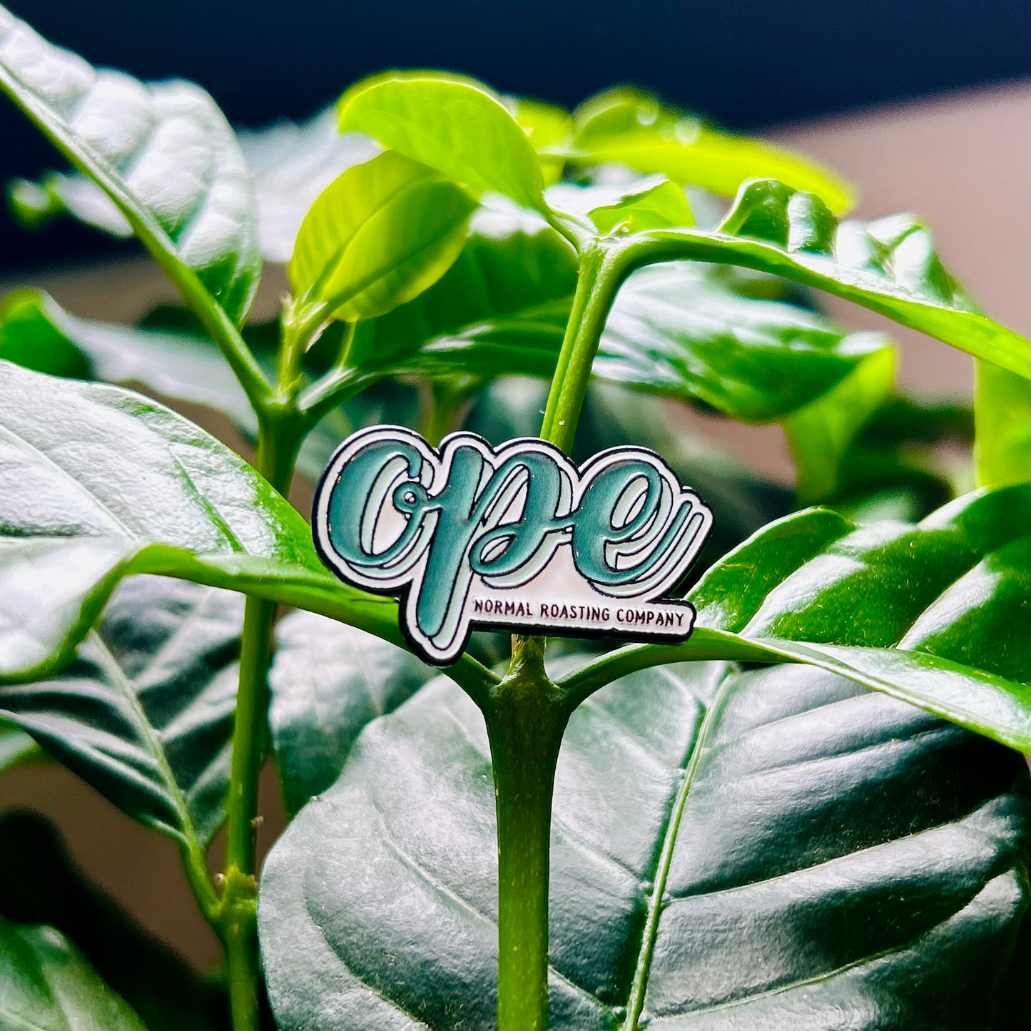 Ope Enamel Pin